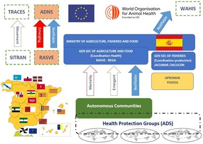 Applying the FAO surveillance evaluation tool (SET) to assess the fish farming disease surveillance system in Spain